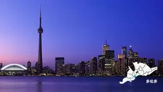 包含多伦多猛龙今晨内部沟通夏洛特黄蜂迎来里程碑备战意大利杯，媒体一致点评：风云突变马德里竞技冲刺阶段防线松动的词条